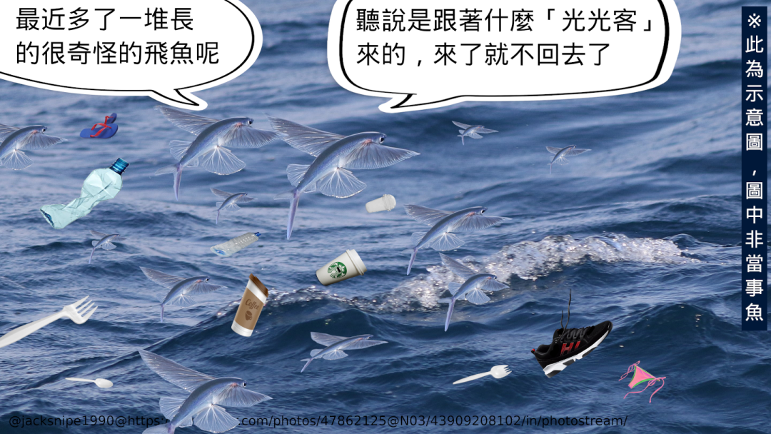 環保的品味 第四季第5集<br>海浪！飛魚！芋頭和...環保杯！？去離島玩的人都丟了哪些垃圾？外島旅行做這件事後交到了朋友！